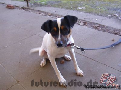 Klicken für Bild in voller Größe