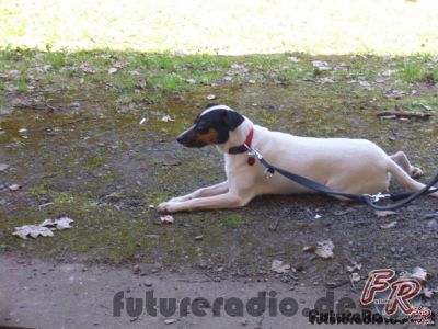 Klicken für Bild in voller Größe