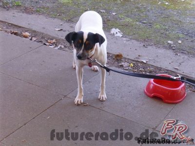 Klicken für Bild in voller Größe