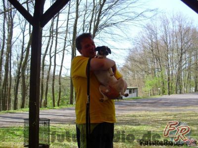 Klicken für Bild in voller Größe