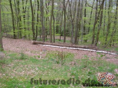 Klicken für Bild in voller Größe