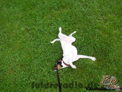 Klicken für Bild in voller Größe