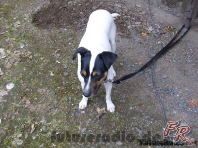 Klicken für Bild in voller Größe