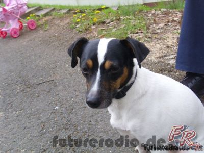 Klicken für Bild in voller Größe