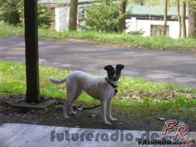 Klicken für Bild in voller Größe